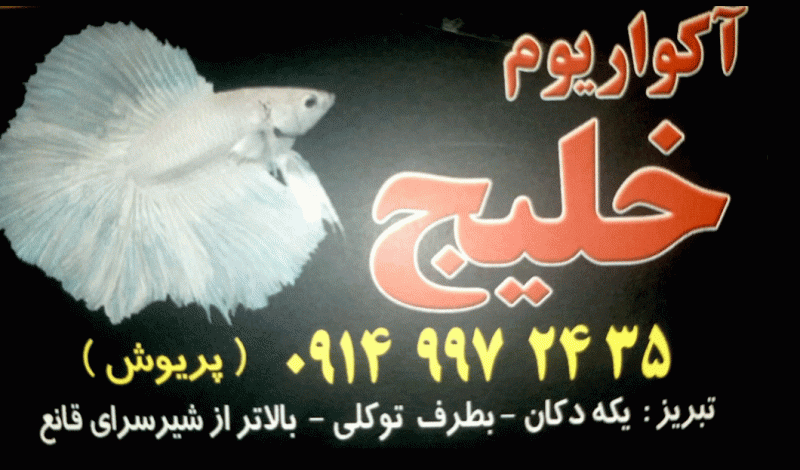 آکواریوم خلیج