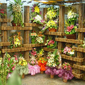 پخش گل المهدی