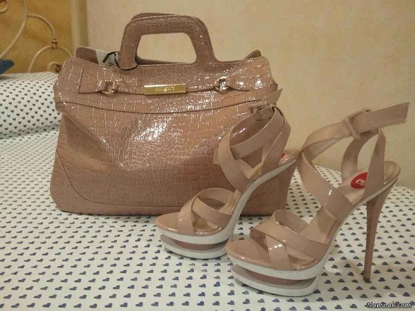 کیف و کفش فطرس