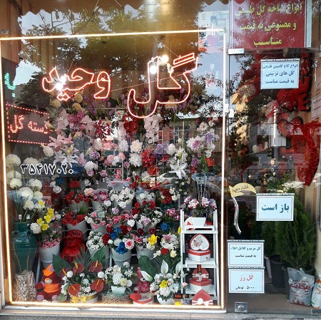 گل سرای وحید