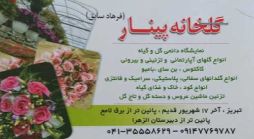 گلخانه پینار(فرهادسابق) چینار